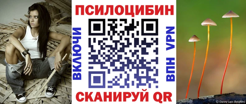 где продают наркотики  Балтийск  Псилоцибиновые грибы Psilocybine cubensis 